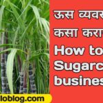 How to do sugarcane business