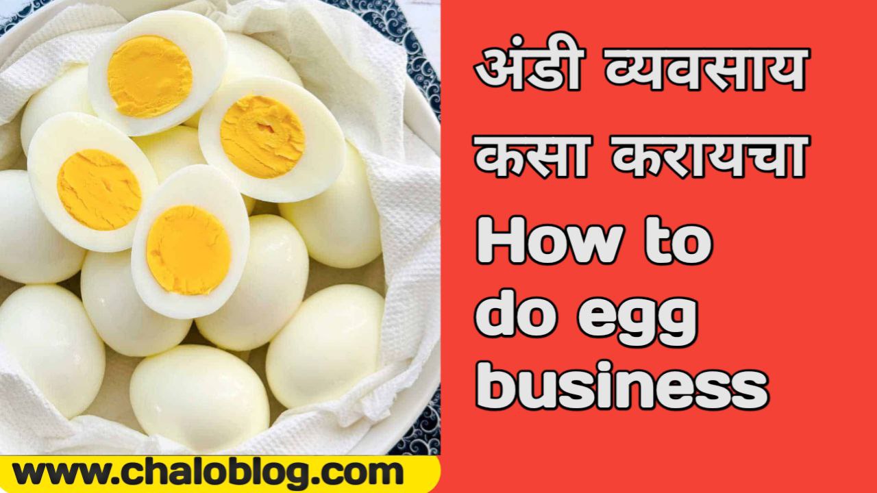 How to do egg business